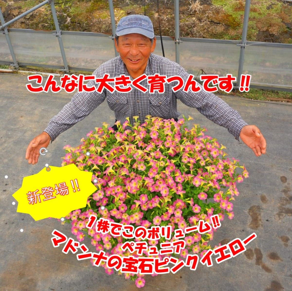 スクリーンショット-2021-01-30-