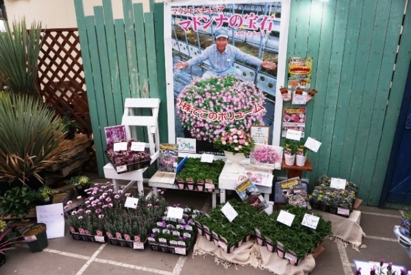 福岡県の九州日観植物様の展示会