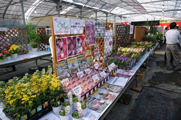 岡山・花結び展示会