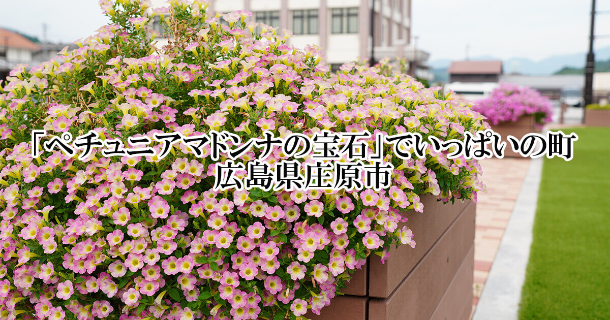 3a8a70ebf643a0c2bdf41123481939