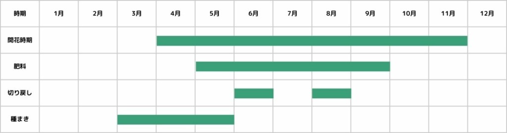 カリブラコアの栽培カレンダー