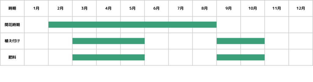 エケベリアの栽培カレンダー