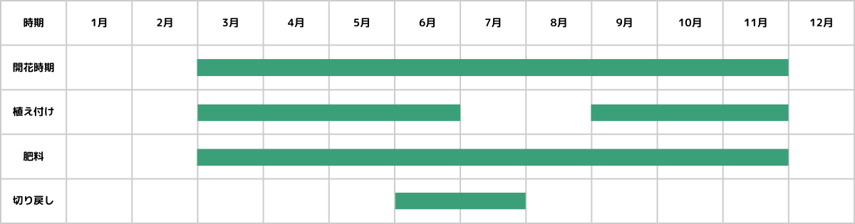 ブラキカムの栽培カレンダー