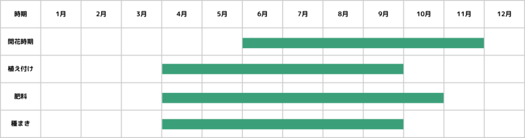 コスモスの栽培カレンダー