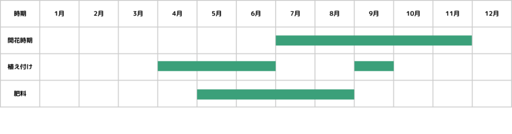 ケイトウの栽培カレンダー