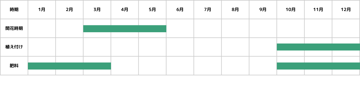 ラナンキュラスの栽培カレンダー