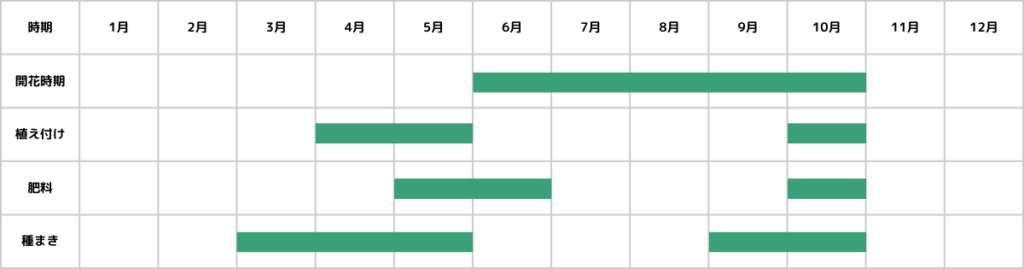 エキナセアの栽培カレンダー