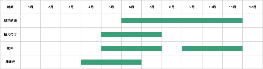 サルビアの栽培カレンダー