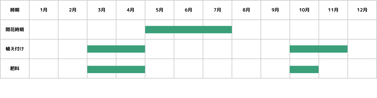 アスチルベの栽培カレンダー