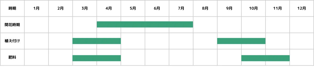 セントウレア（セントーレア）の栽培カレンダー