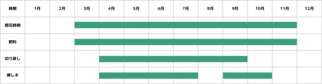 ペチュニアの栽培カレンダー