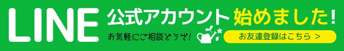 LINE公式アカウント