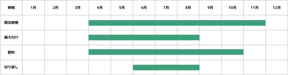 トレニアの栽培カレンダー