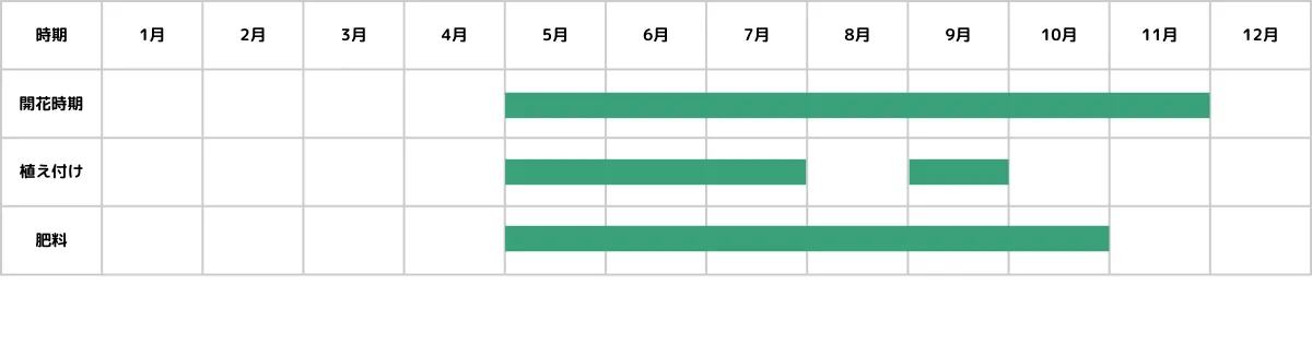 バーベナの栽培カレンダー