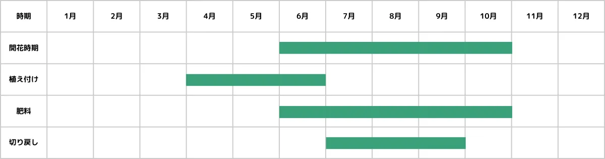 メカルドニアの栽培カレンダー