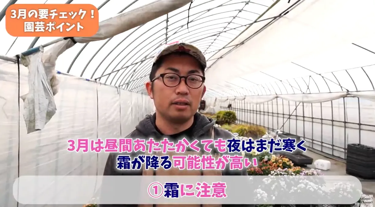 3月の園芸ポイント