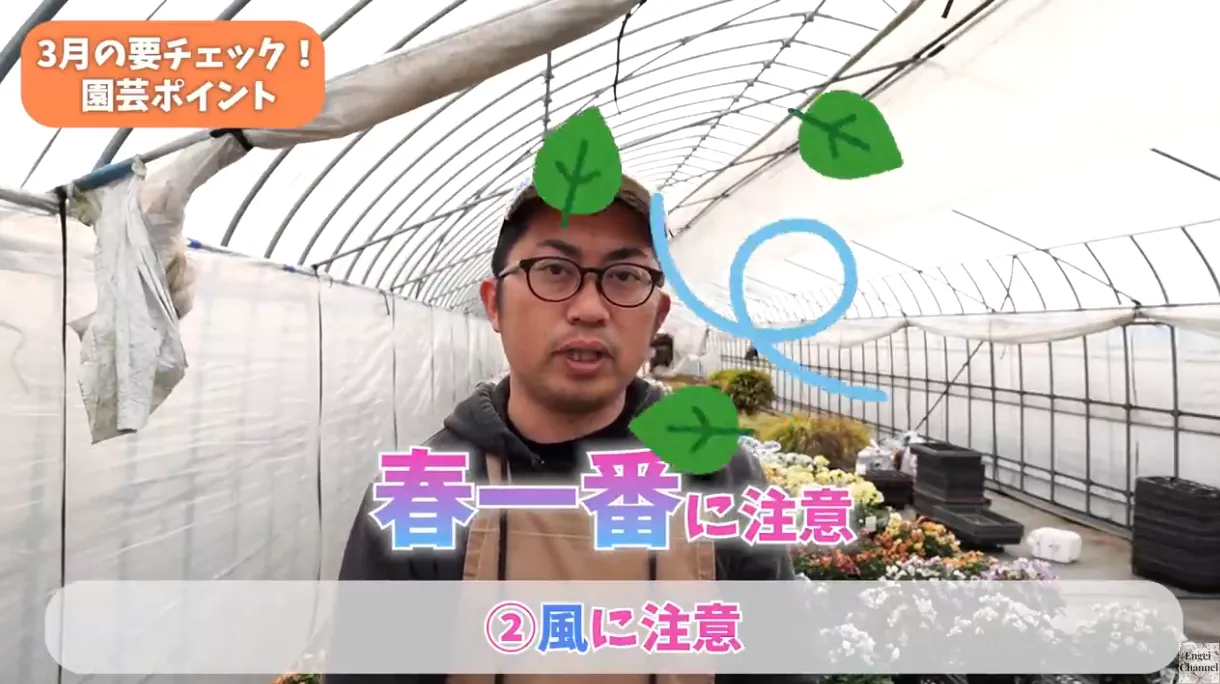 3月の園芸ポイント
