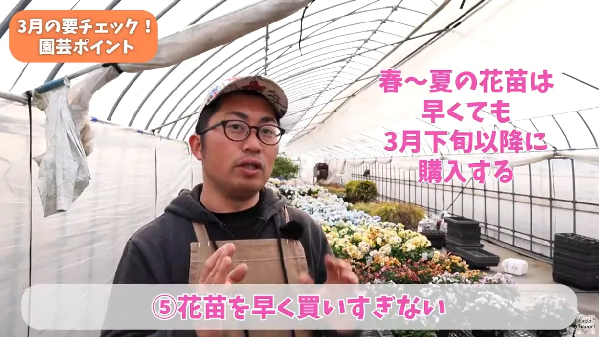 3月の園芸ポイント