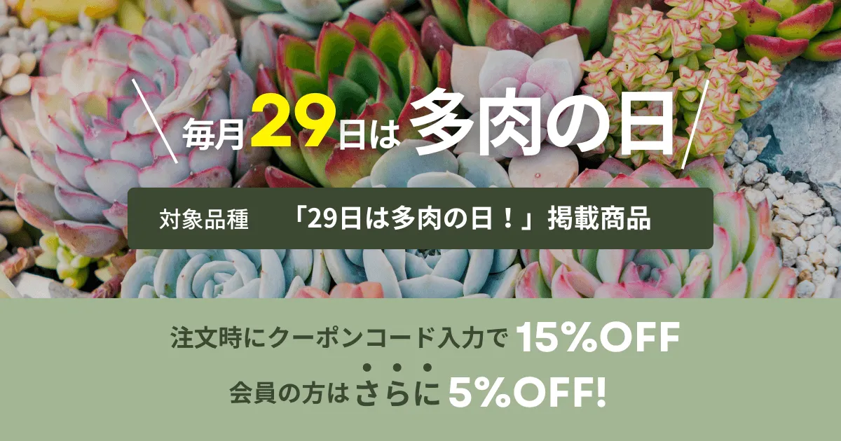 毎月29日は多肉の日!