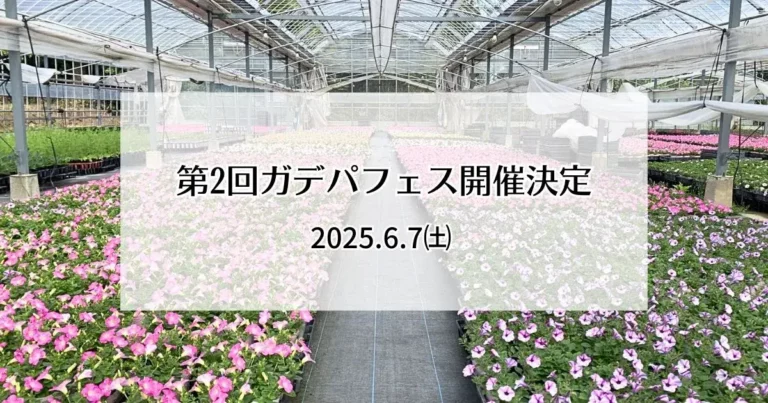 第2回ガデパフェス開催決定！