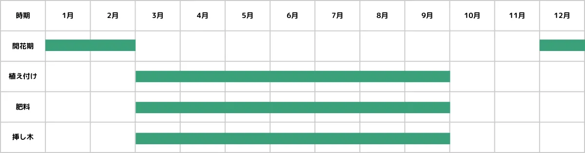 アロエの栽培カレンダー