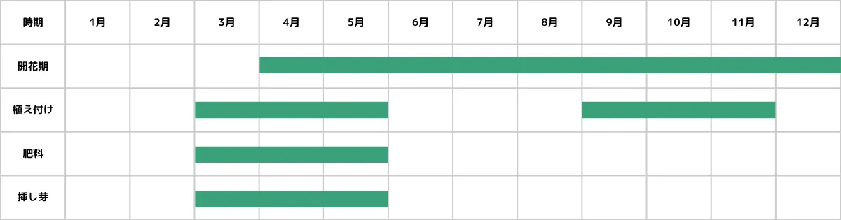 クラッスラの栽培カレンダー