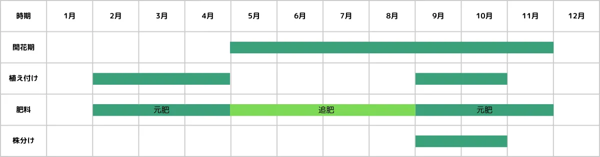 クニフォフィアの栽培カレンダー