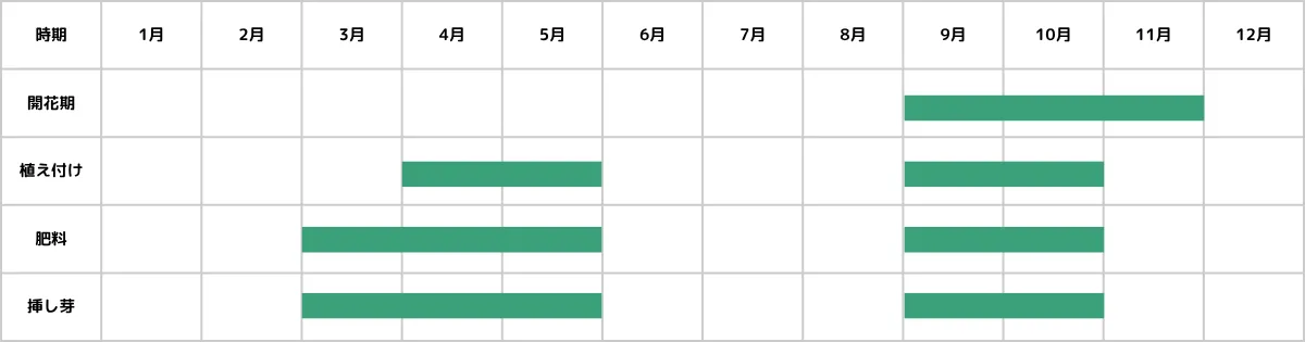 コチレドンの栽培カレンダー