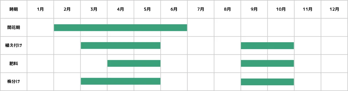 ハオルチアの栽培カレンダー