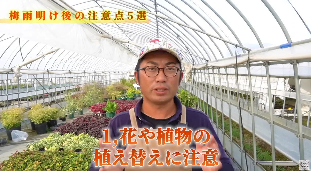 梅雨明け後の管理のポイント