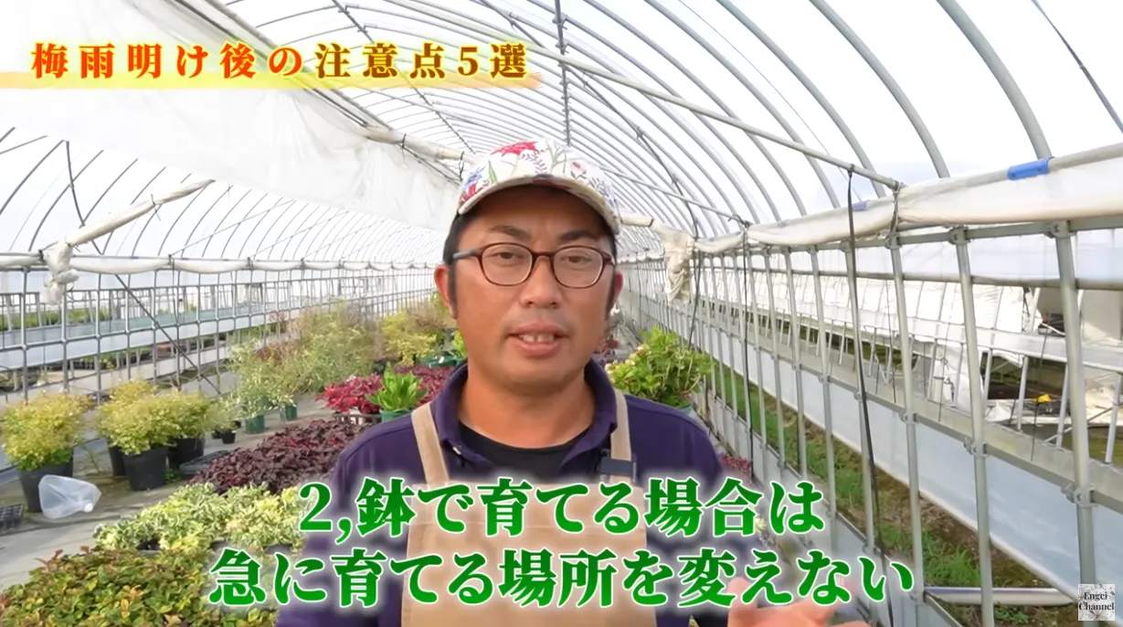 梅雨明け後の管理のポイント