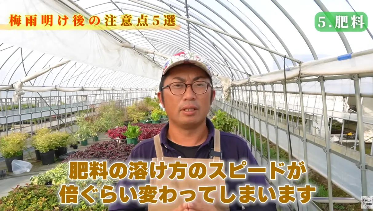 梅雨明け後の管理のポイント