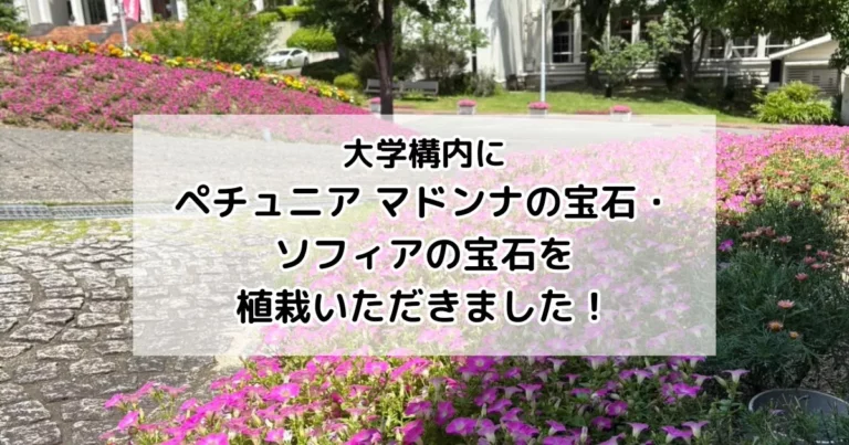 大学構内植栽事例20250708