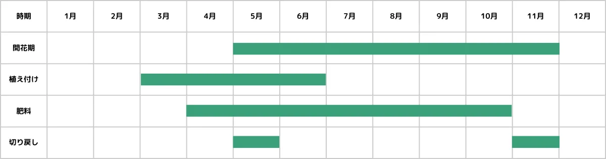 エボルブルスの栽培カレンダー