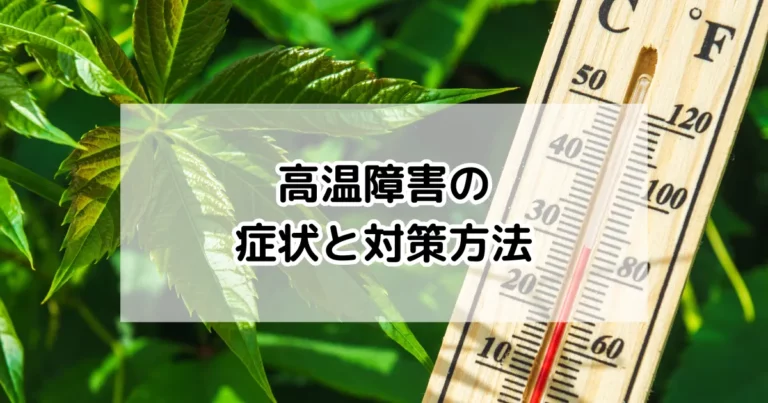 高温障害