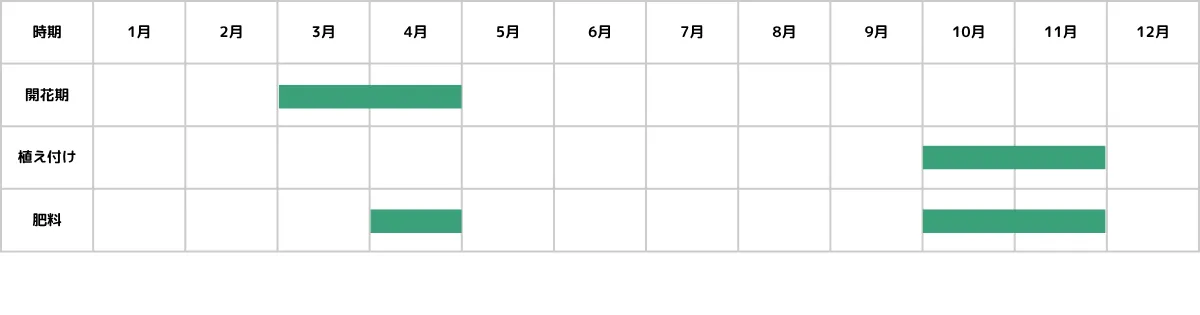 ヒヤシンスの栽培カレンダー