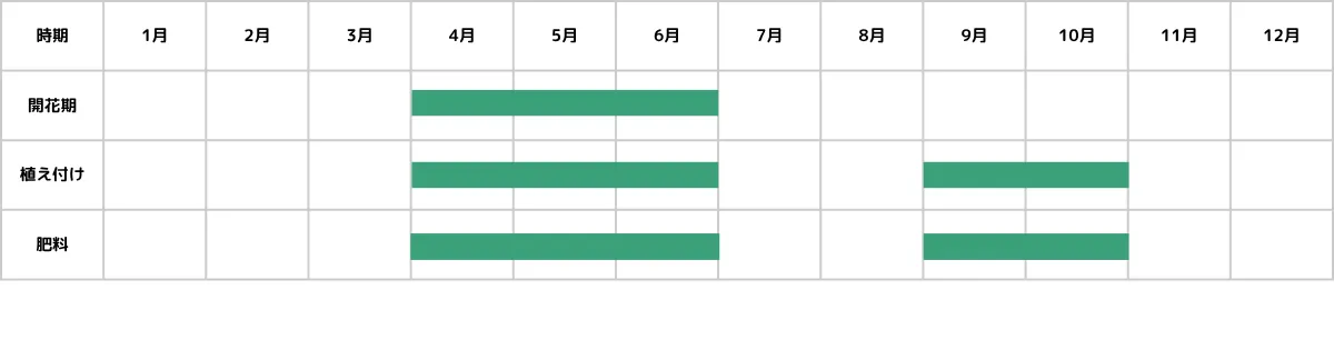 リプサリスの栽培カレンダー