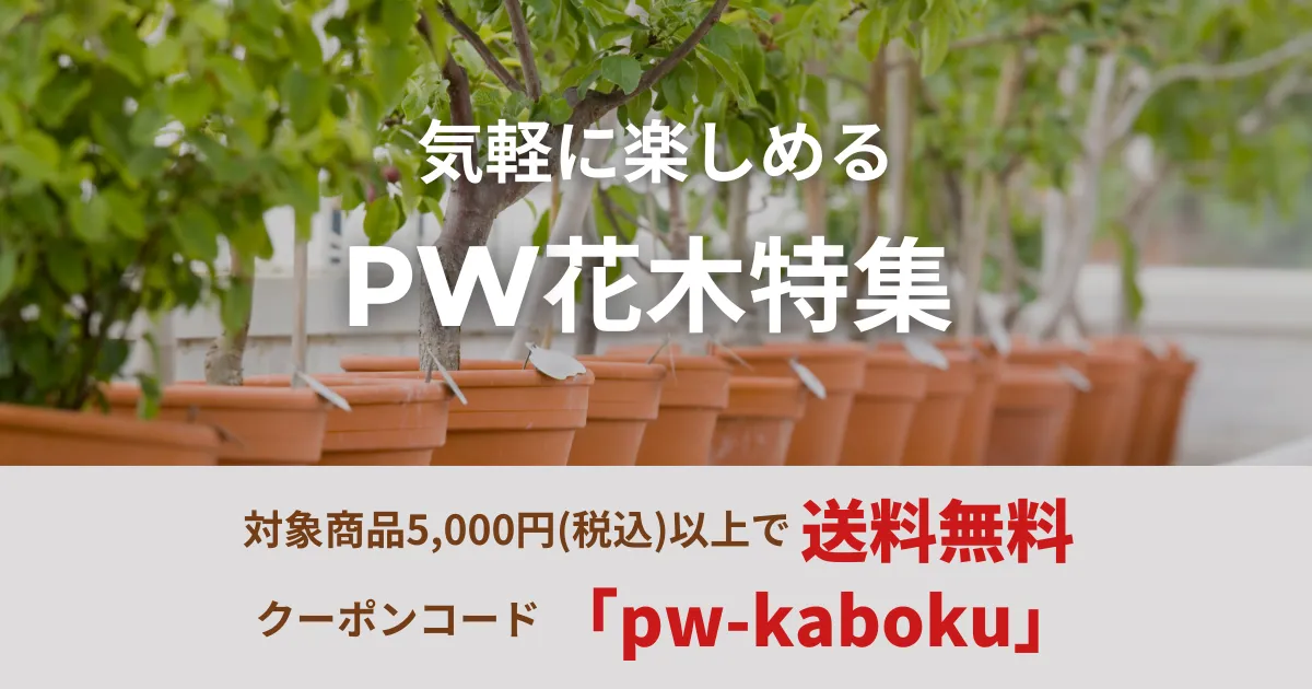 気軽に楽しめるPW花木特集 対象商品5,000円以上で送料無料