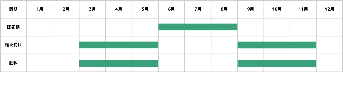アドロミスクスの栽培カレンダー