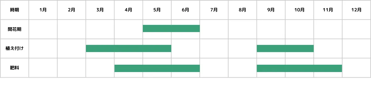 アナカンプセロスの栽培カレンダー