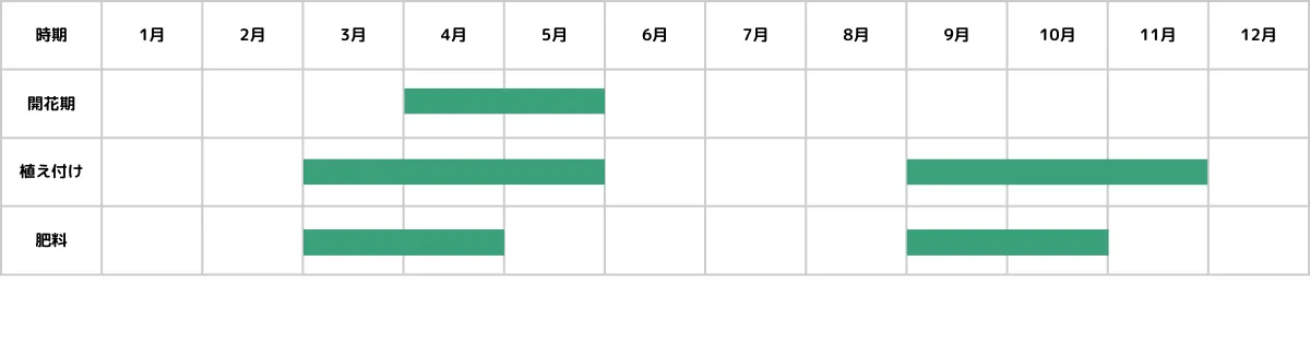 アムソニアの栽培カレンダー