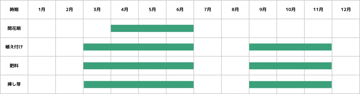 コルプスキュラリアの栽培カレンダー