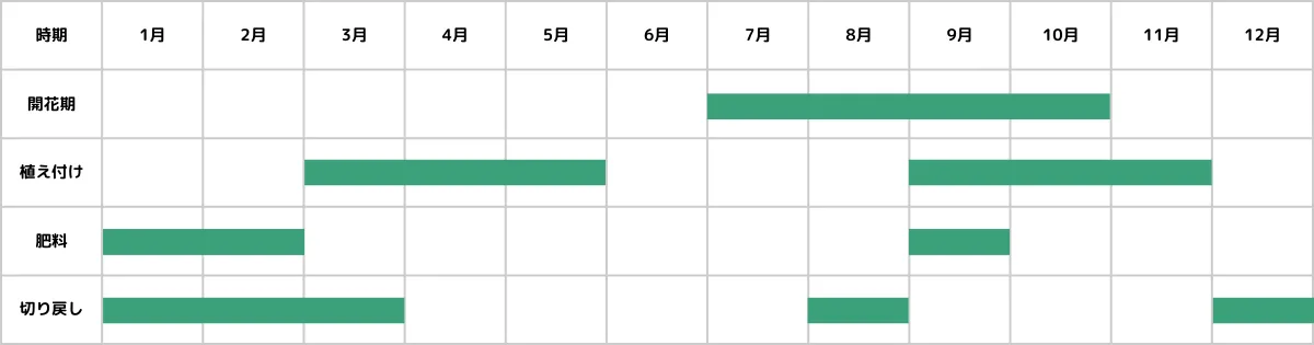 サルスベリの栽培カレンダー