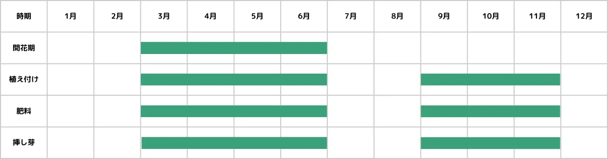グラプトベリアの栽培カレンダー