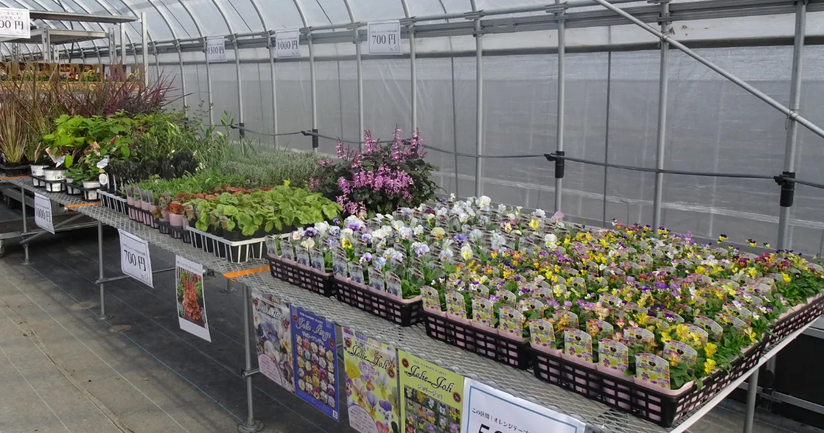 第3回ガデパフェス