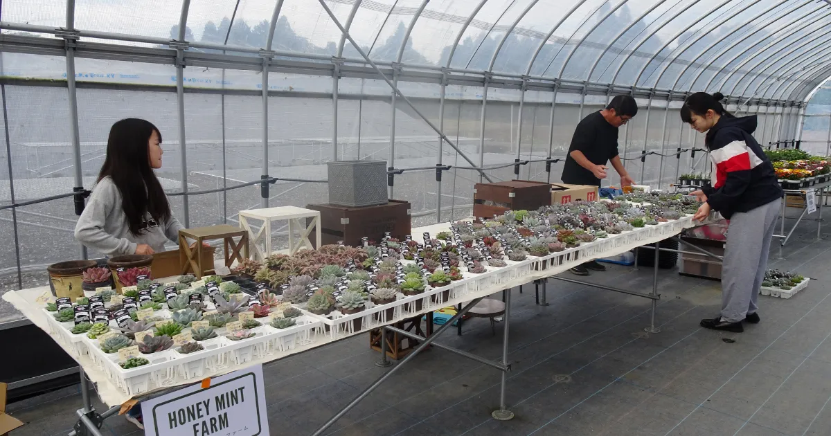 第3回ガデパフェス