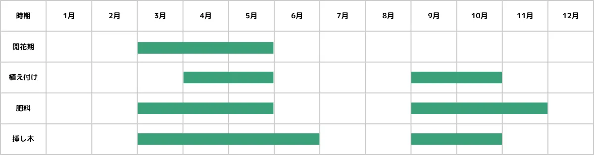 パキベリアの栽培カレンダー