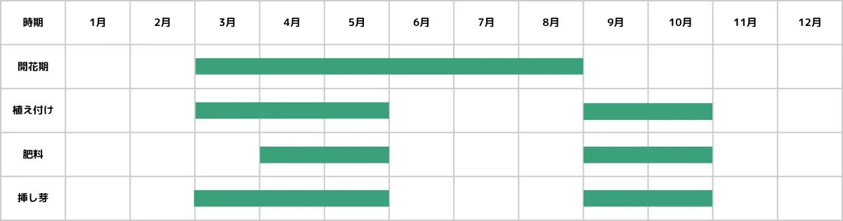 セデベリアの栽培カレンダー