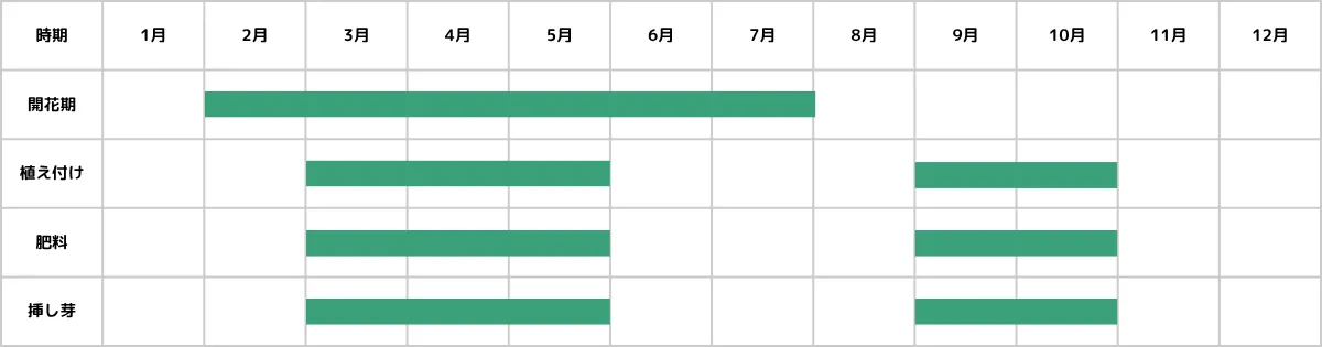 センペルビウムの栽培カレンダー