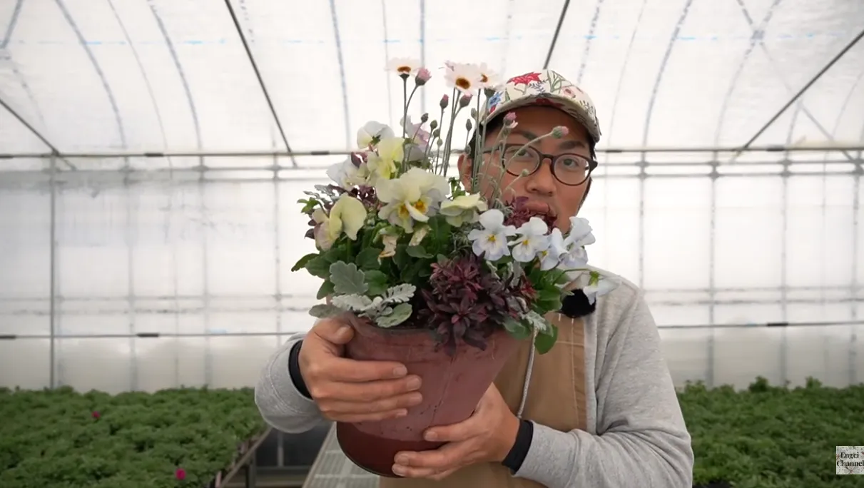 寄せ植えの管理　冬から春